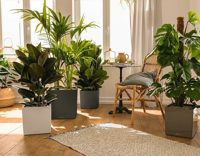 Garden Gallery — οπτικό απόδοσης