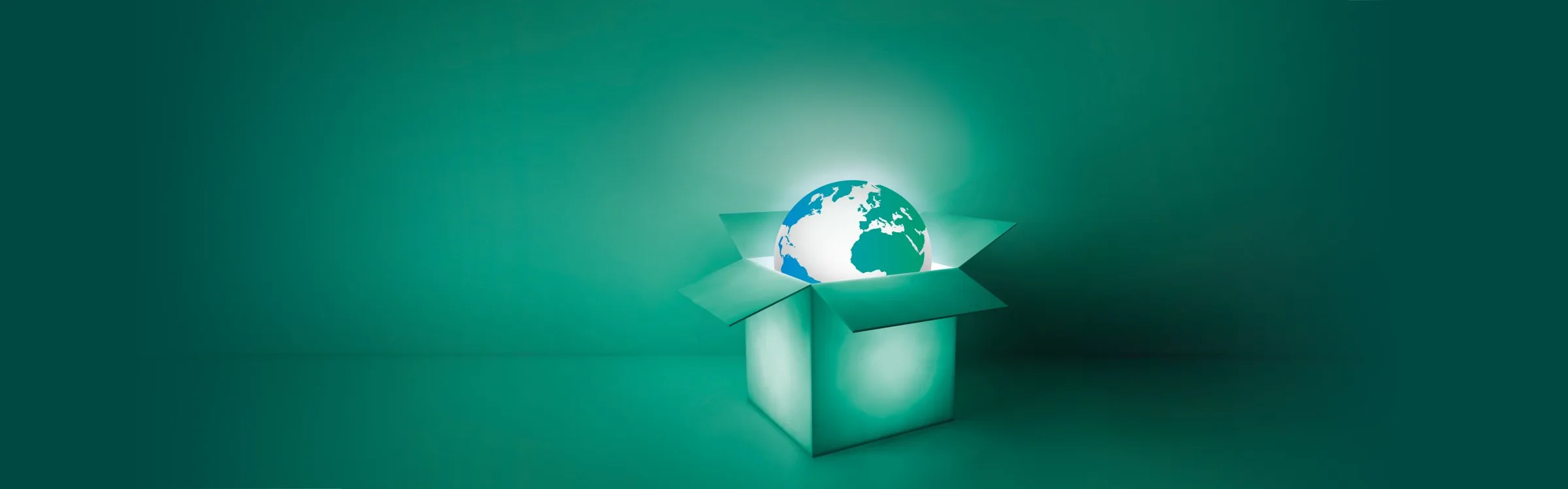 GlobalPack — project media