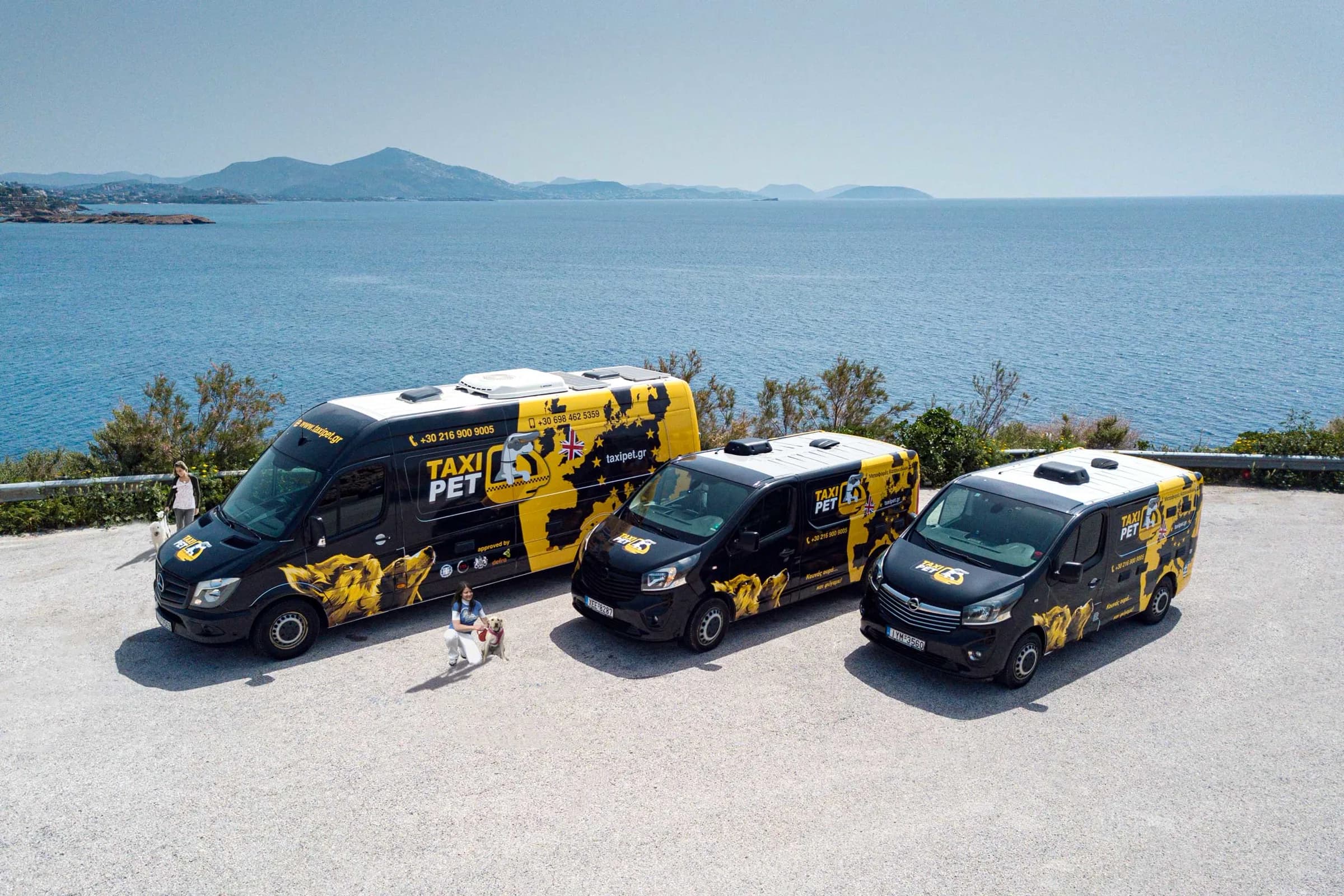 Taxipet · media έργου