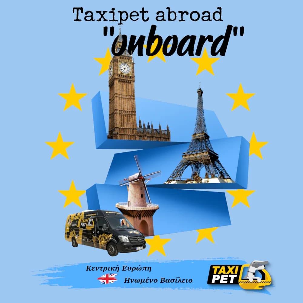Taxipet · collage λύσης