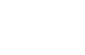 triumph-logo-H194px